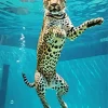 Jaguar Underwater Diamond Painting