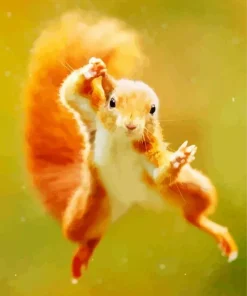 Jumping Squirrel Diamond Painting
