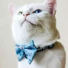 Kitten With Bowtie Diamond Painting