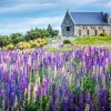 Lake Tekapo New Zealand Diamond Painting