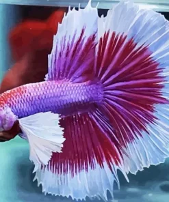 Lavender Betta Fish Diamond Painting