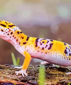 Leopard Gecko Diamond Painting