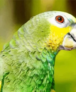 Lilacine Amazon Bird Diamond Painting