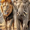 Lion And Elephant Diamond Painting