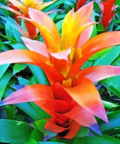 Orange Bromeliad Diamond Painting