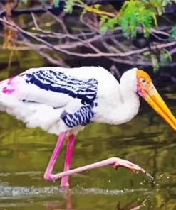 Stork Bird Diamond Painting