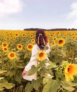 Sunflower Girl Diamond Painting