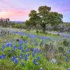 Texas Countryside Diamond Painting
