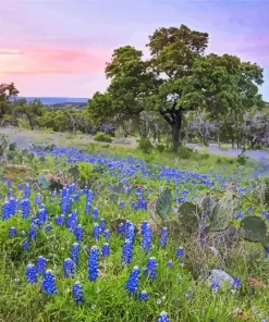 Texas Countryside Diamond Painting